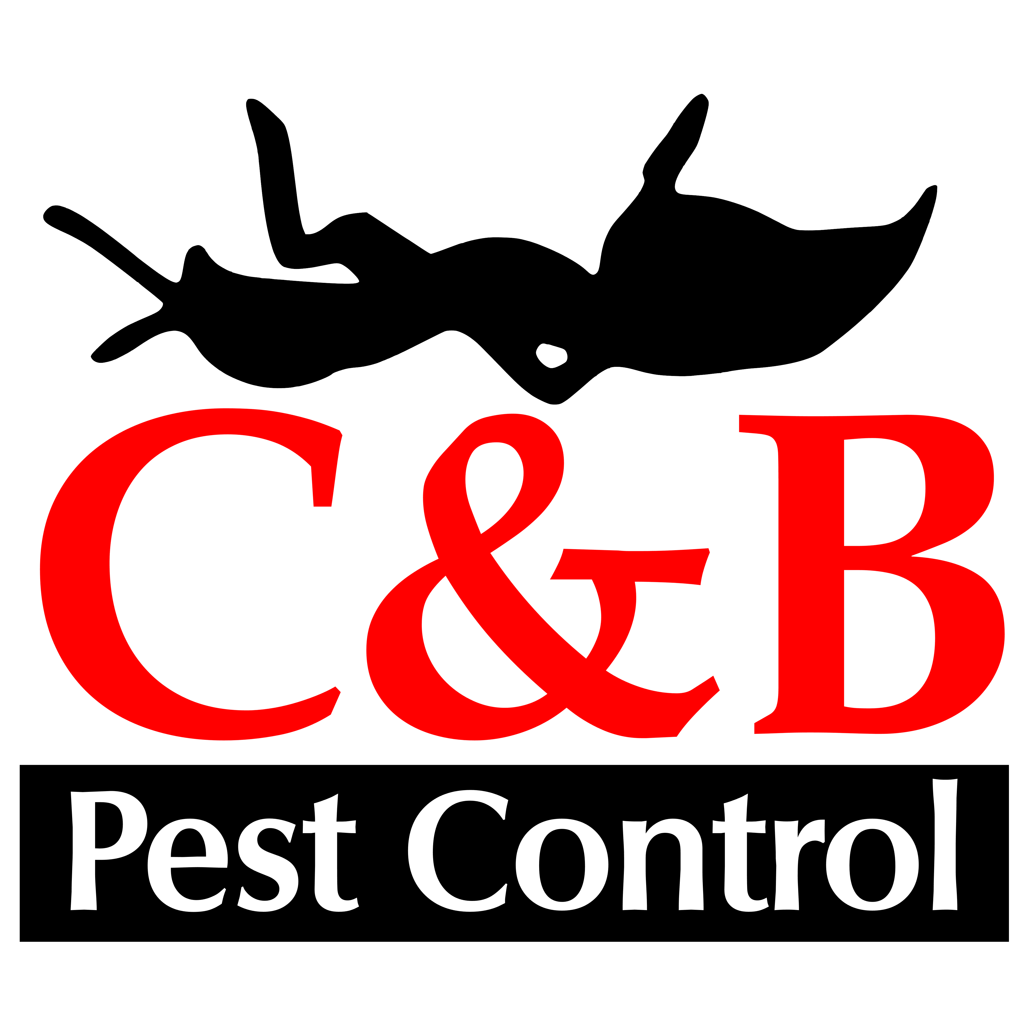 Pest Control in San Antonio, TX C&B Pest Control